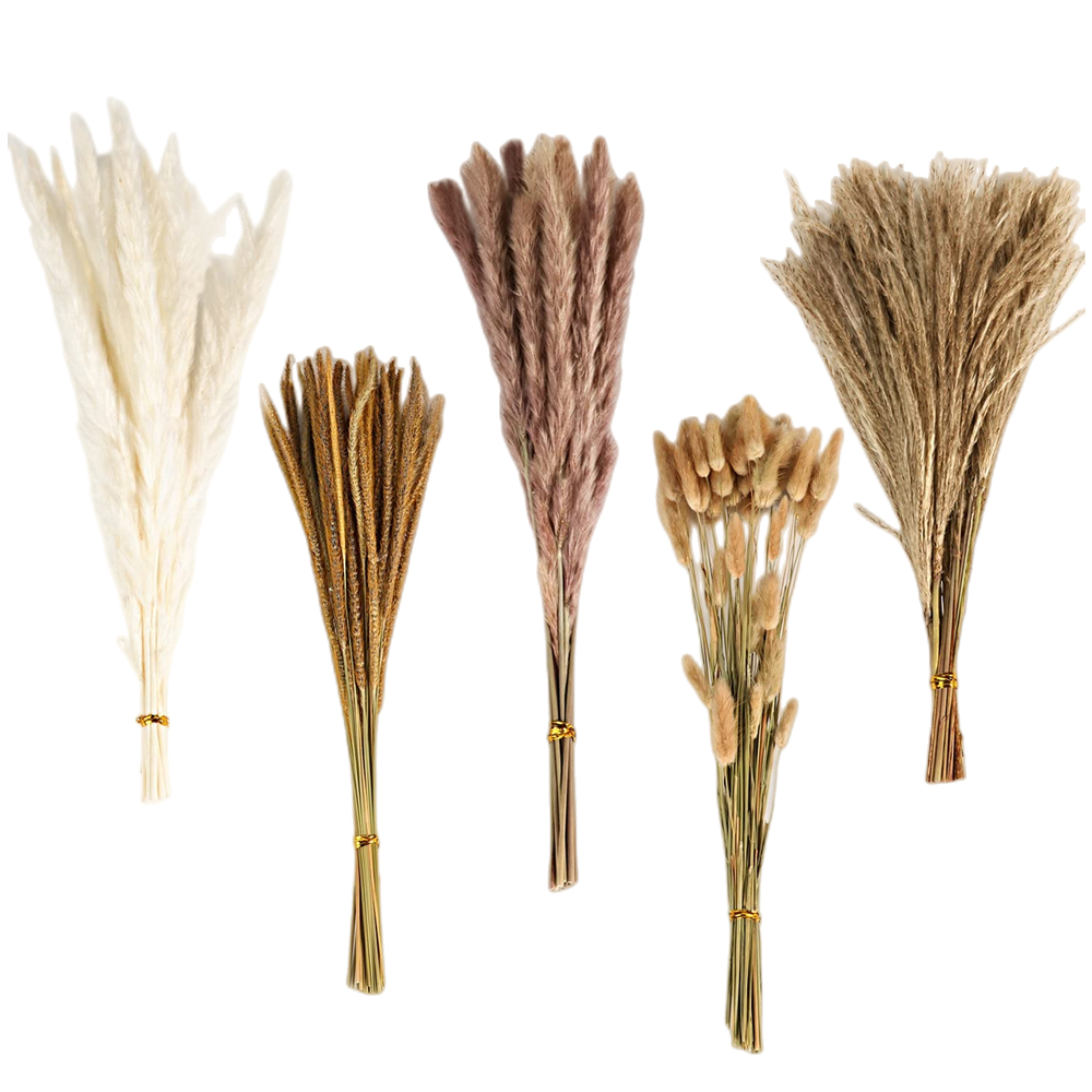 Herfst Vintage Gemengd Gedroog - Art Craft Vase recensie en prijs