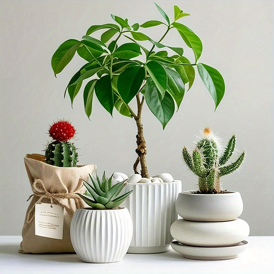 200/400g Witte Hooggepolijste  - Art Craft Vase recensie en prijs
