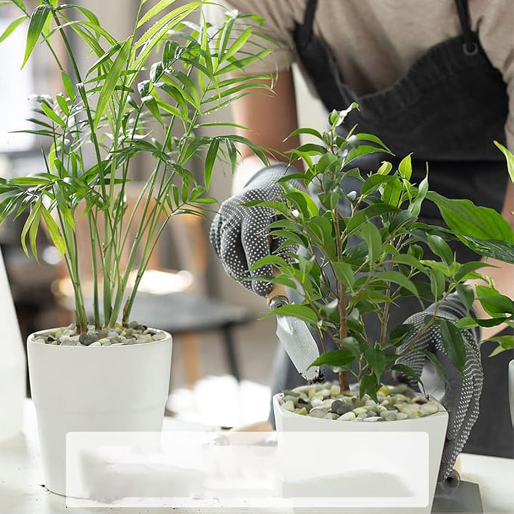 Sappige en cactuskiezels, 1/5  - Art Craft Vase recensie en prijs